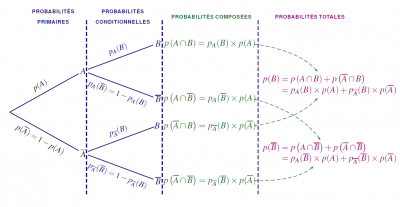 probas_totales_composees.png