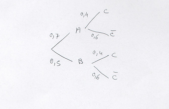 arbre.png