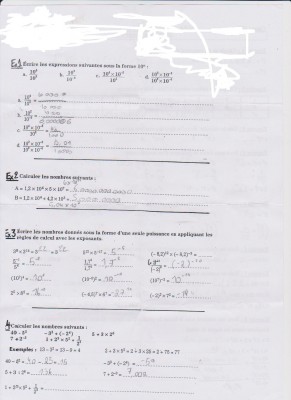 feuille 2.jpg