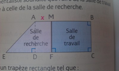 IMAG0053.jpg
