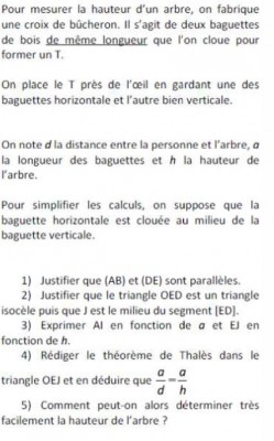 Sans titre 3.jpg