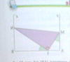 Triangle.jpg