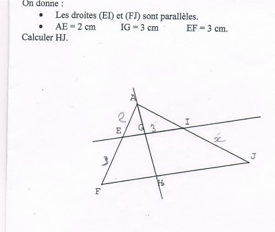 figure.JPG