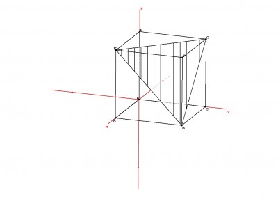 section.jpg