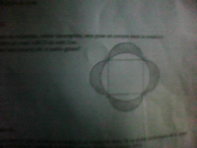 IMG0021.jpg