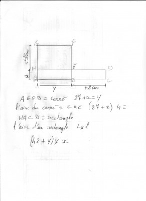 devoir ms 001.jpg