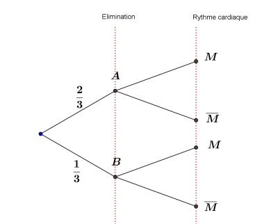 arbre_pondere_cardiaque.png