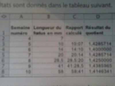Tabeau.jpg