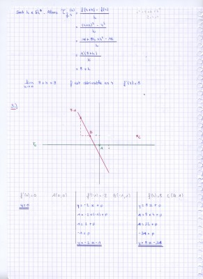 page 2 (suite)