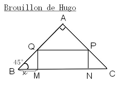 Sans titre 2h.jpg