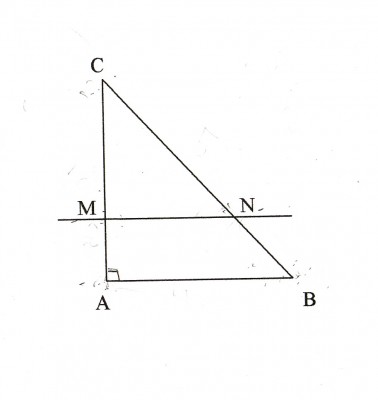 figure.jpg