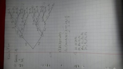 20150424_194902.jpg