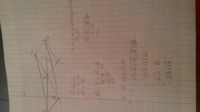 20150428_115525.jpg