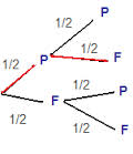 arbre.jpeg