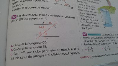 L'exercice concerne est le numero 30
