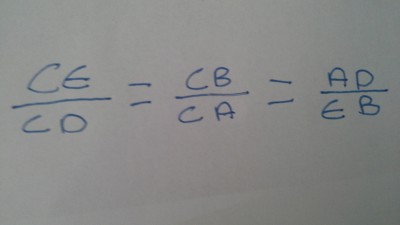 1446383113320.jpg