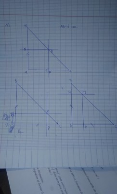 Voici les figures de la question 1