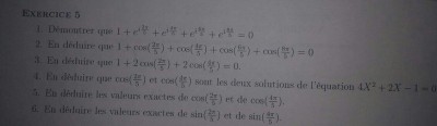 received_729009553924840-1.jpg