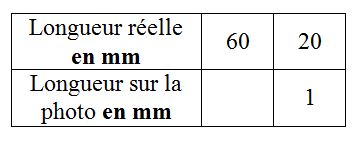 Tableau_proportionnalité.JPG