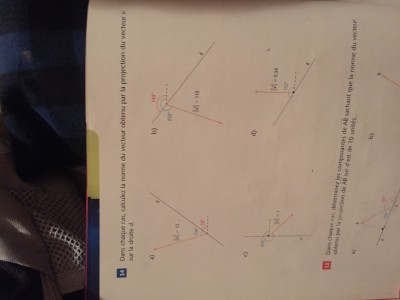 44F39FF0-DA48-4F0A-BA26-D46D5E802907.jpeg