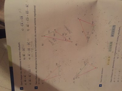 1F47EA74-2DB2-4EDC-9BD7-D0F7FDD0C620.jpeg