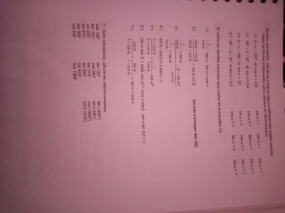 IMG_20200413_145756.jpg