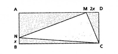 Rectangle.jpg