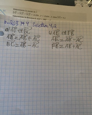 09FE2035-8EFC-4C85-92E9-13489AA79CE4.jpeg