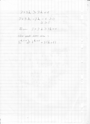 Image (373).jpg