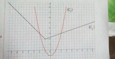 C'est la courbe des fonctions f et g